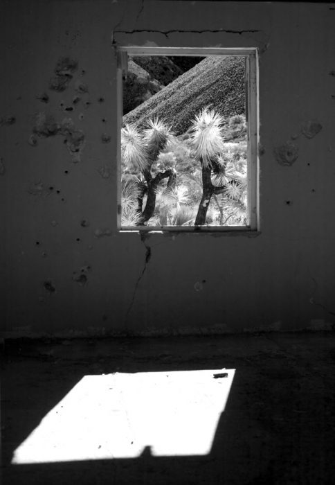 Picture Window I - b/w