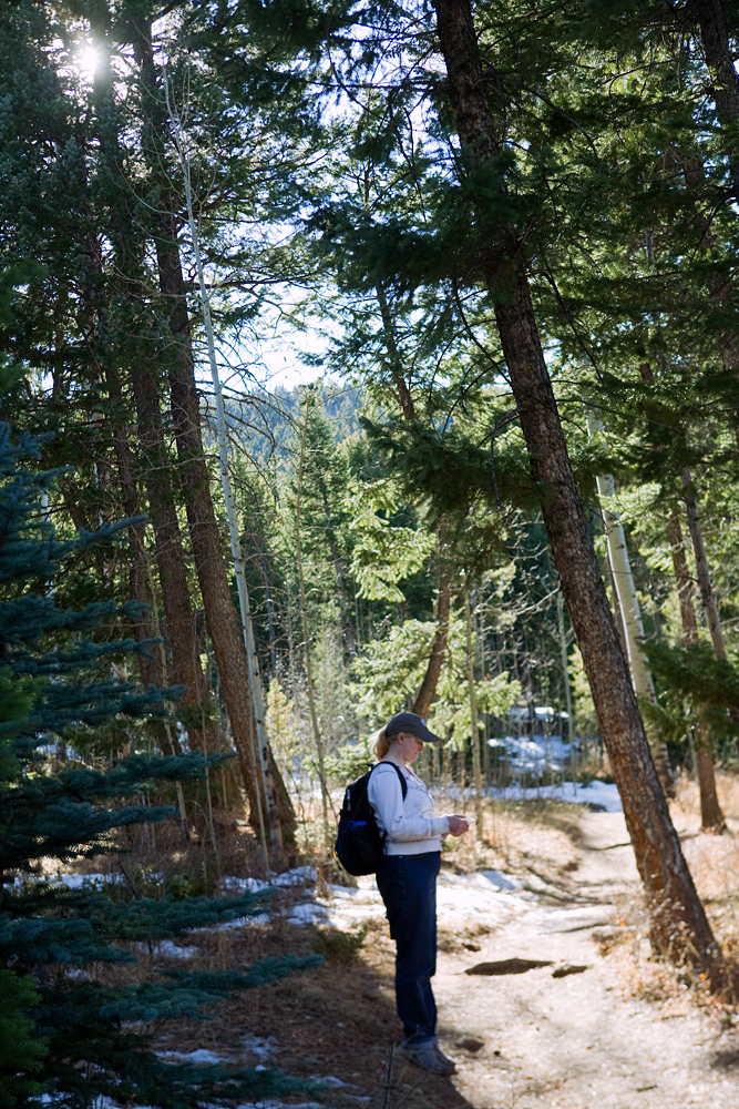 Sandy on the Trail II