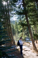 Sandy on the Trail II