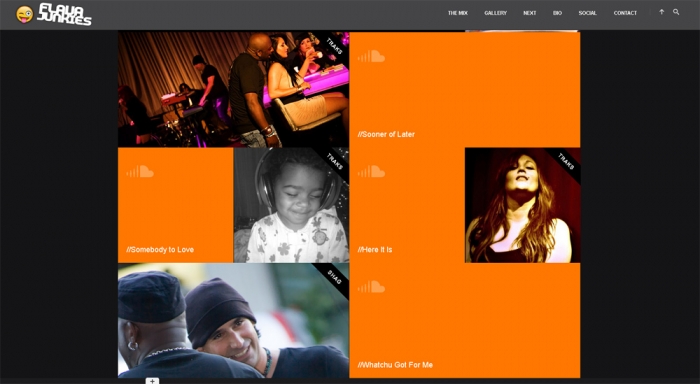 Flava Junkies Web Site Layout