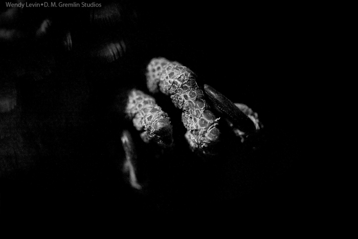 IMG_6975crop8x12-blackout-1000bw-water.jpg