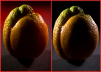 orange-comp-2-chameleon-web900.jpg