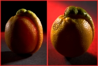 orange-comp-2-punk-web900.jpg