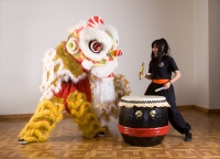 Lion and Drum