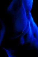 Black and Blue Bodyscapes